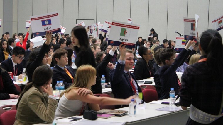 Voting in DISEC Committee